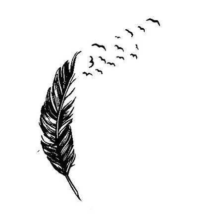 feather.jpeg