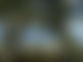 Sustainable Living in Marbella: The Role of Solar Power