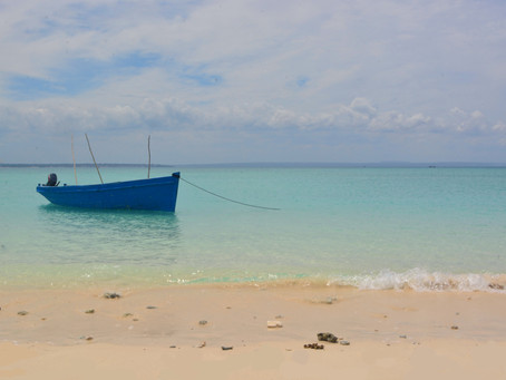 Mozambique Island Boat Adventure