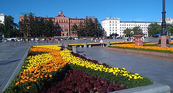 IMG_20170729_181427.jpg