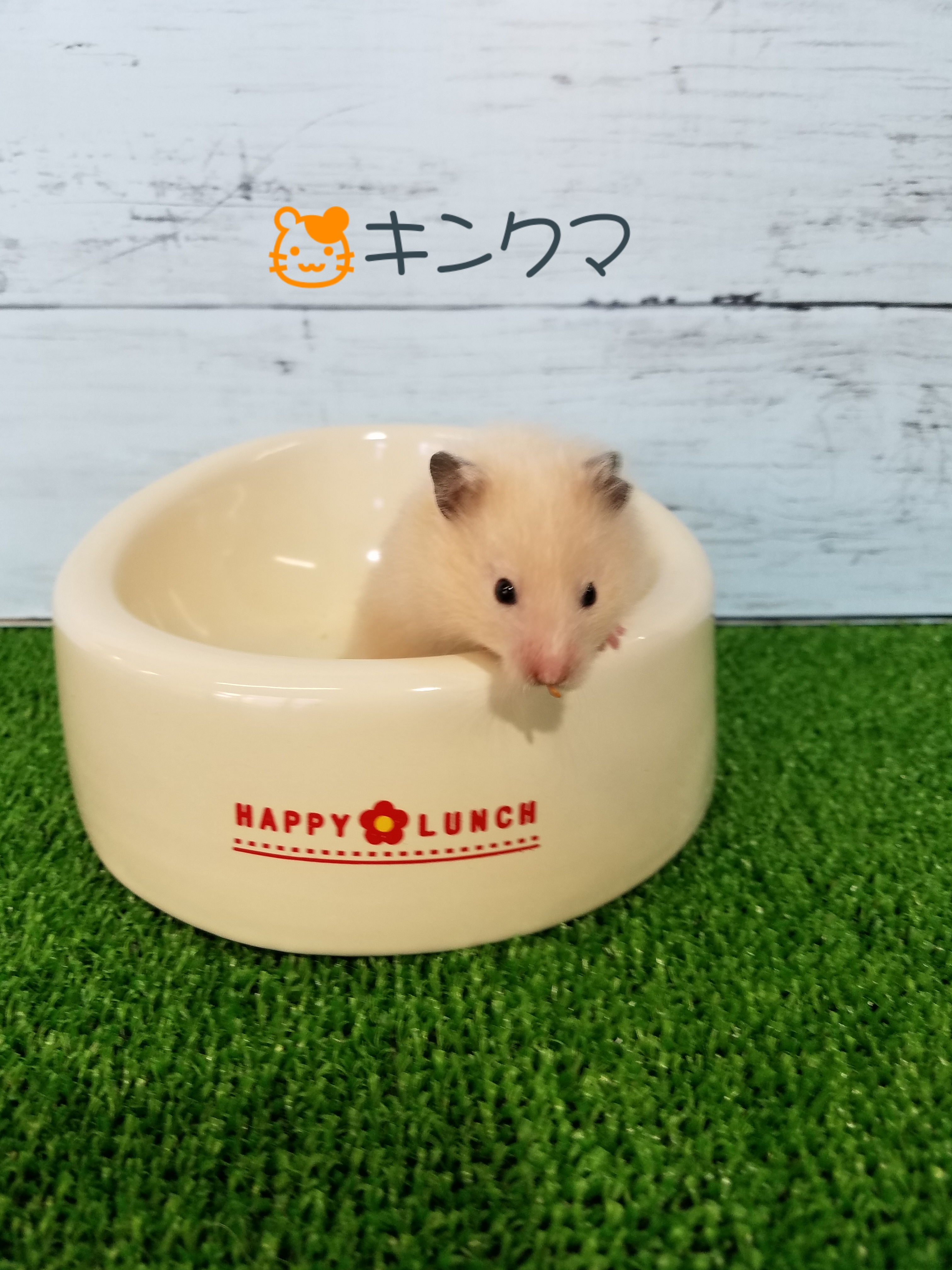 キンクマ