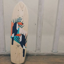 13408719_1752812548335007_564736772_n