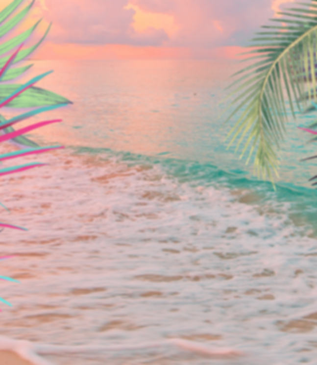 view of the ocean framed by palm tree fronds