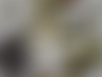 Receta galletas crackers sin harinas