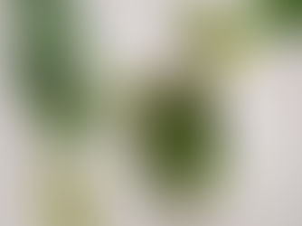 ¡Pesto de Albahaca!