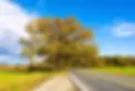 grafton.webp