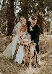 Golden Retriever Breeders in Montana, Field Golden Retriever Breeders in Montana, Field Golden Retriever Breeders, Field Golden Retrievers, Hunting Golden Retrievers, Golden Retriever Breeders in MT, Golden Retrievers in Montana, Golden Retriever puppies for sale in Montana, Golden Retriever puppies for sale in MT, Goldens in MT, Golden Retrievers for sale in MT, Golden Retrievers for sale in Montana, Golden Retriever breeders in MT, Golden Retrievers, Golden Retrievers for sale, Golden Retriever Puppies for sale, Golden Retriever Puppies, Responsible Golden Retriever Breeder, Responsible Golden Retriever Breeders in Montana, Responsible Golden Retriever Breeders in MT