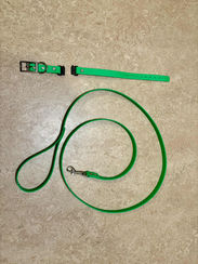 Biothane Leashes