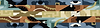 kls pattern.png