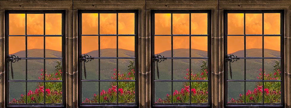 WINDOWS.jpg