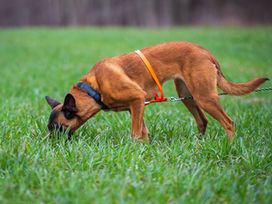 Den Frieden muss man suchen ...