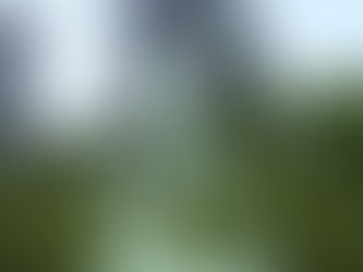 Schwerter zu Pflugscharen