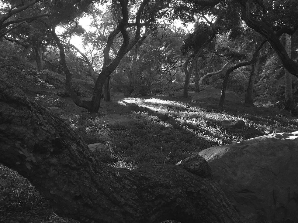 Home | Michael Kearney MD