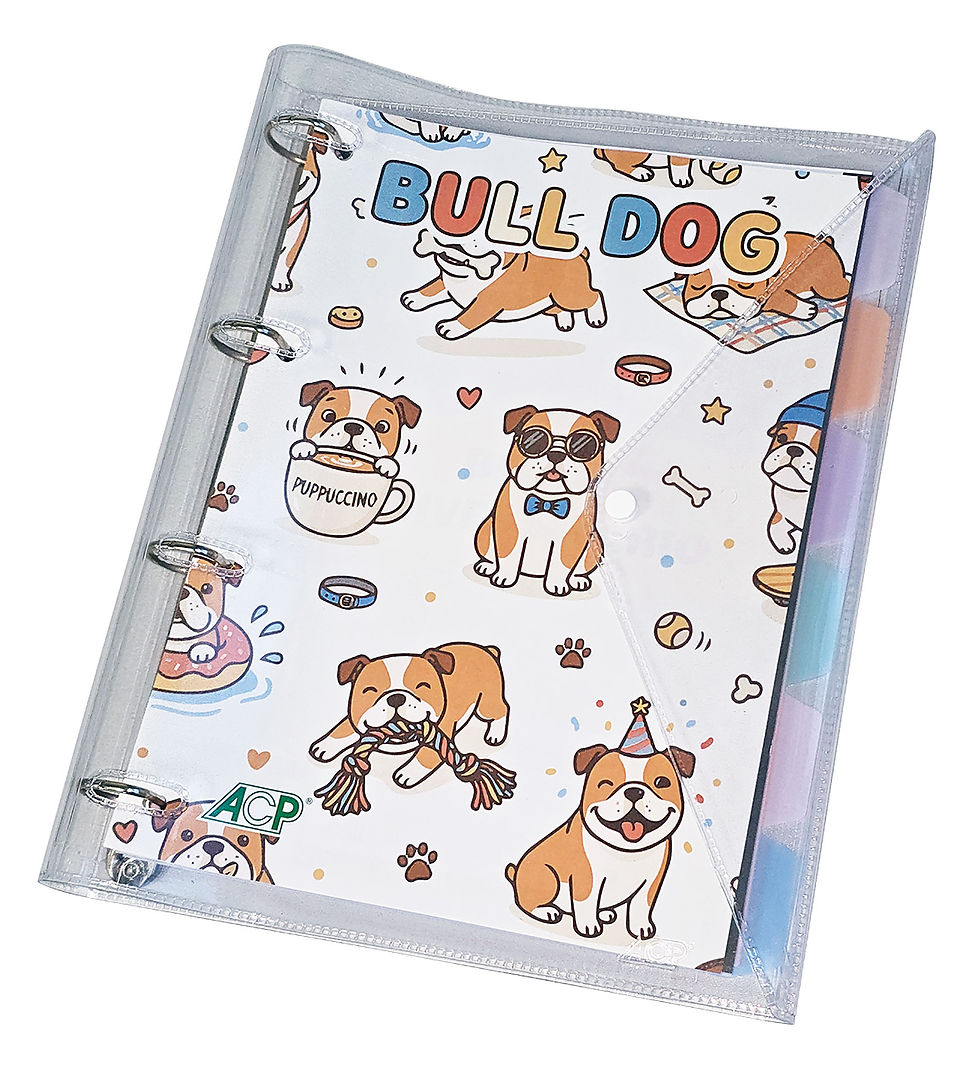 Fichário com Capa Plástica