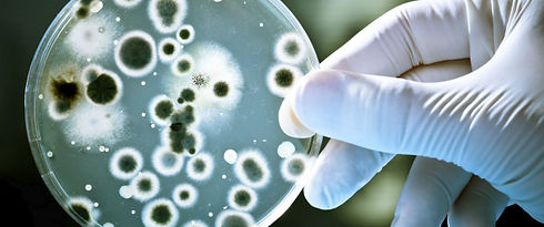 bacteria_1.jpg