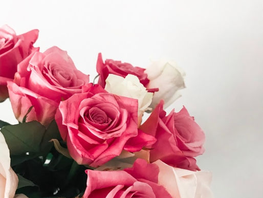 8 Ways to Meet a "Special Someone" in THE WILD