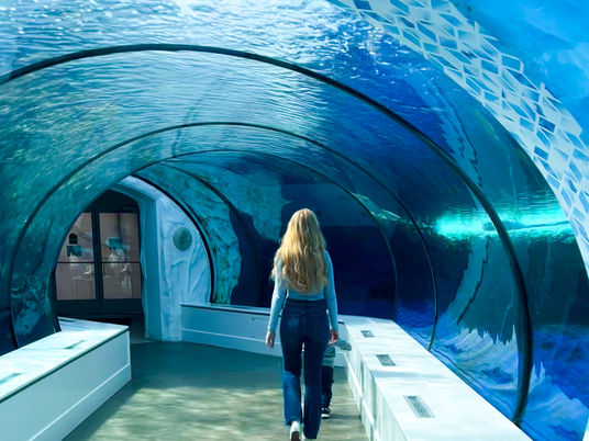 An Exhaustive List of Outings and Adventures for Children