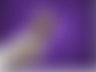 Nouveautés billetterie de novembre 🎤