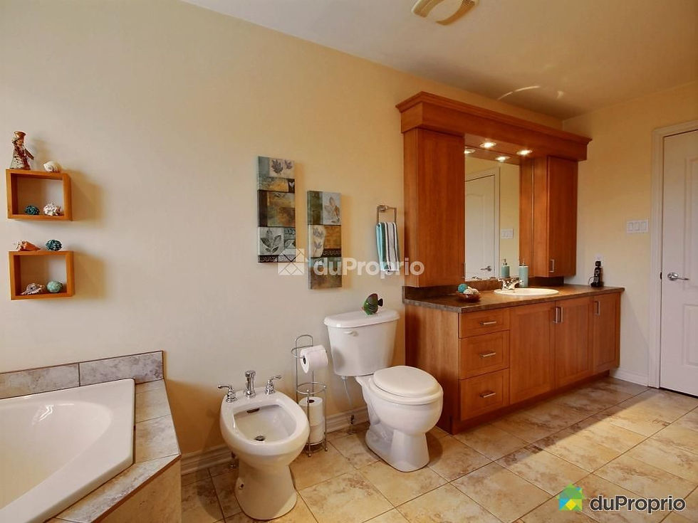 bidet