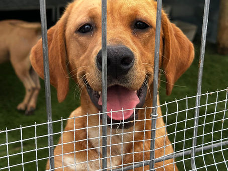 Vuosikokous 21.4.2026