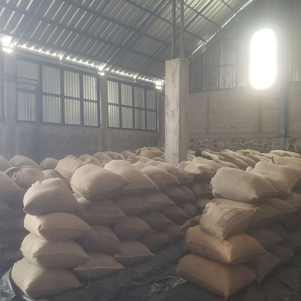 Thumbnail: Caffè L'Aquila Wholesale (email for pricing)