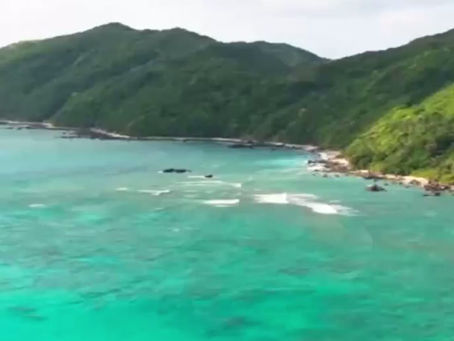 HOLLY CAMP CASA TOP動画