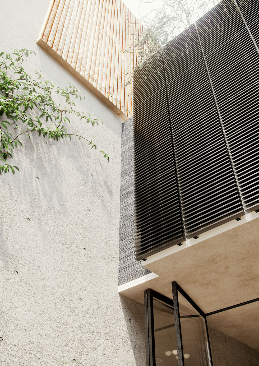 SC002_CELOSIA_R180_VISTA02