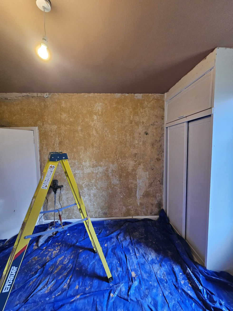 WhatsApp Image 2026-02-20 at 17.49.45 (3)