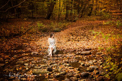 _MG_0251_web