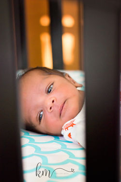 IMG_0313_web