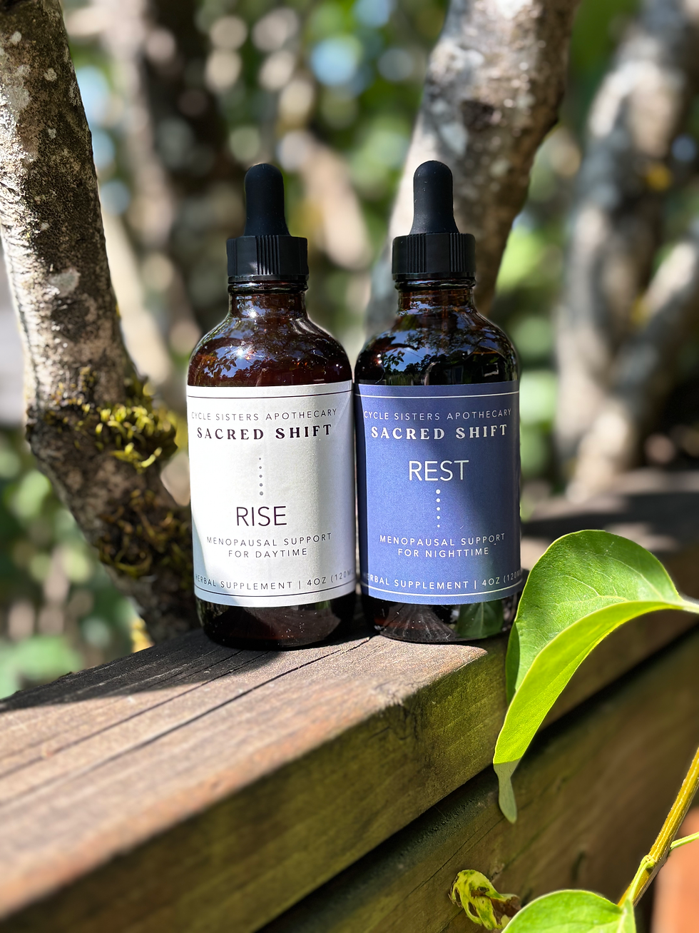 Sacred Shift: Menopause Balance - Rise & Rest