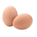 Untitled design (72).png