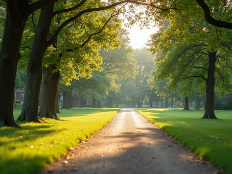 A peaceful park setting promotes mental well-being.