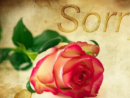A flower with the word ‘Sorry’ printed on it, representing an expression of regret or forgiveness.