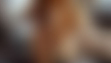 我が家の愛犬