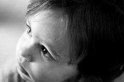 IMG_2590 nb2