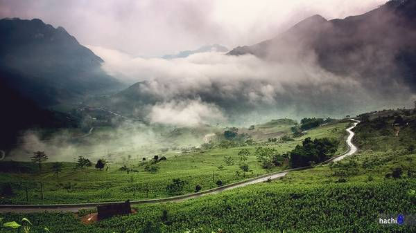 Ha Giang mountain forests surrounded by thick morning fog and low clouds in northern Vietnam.