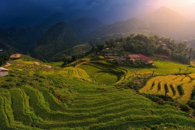 Beautiful golden rice terraces during the harvest season in Sapa, Vietnam.