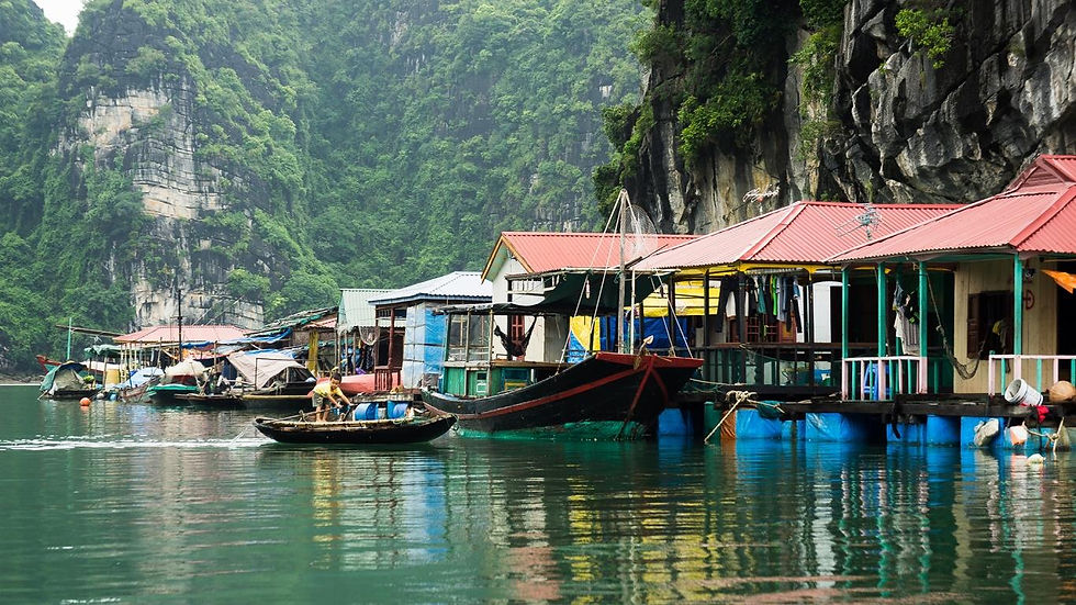 The image is of a fishing village in Quang Ninh, with anchored boats waiting for the right moment to set sail.
