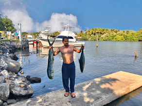 The Tunas are  Close 🐟