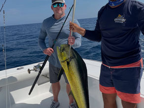 Fishing in Guatemala, A lot of Mahi-Mahi and sailfish