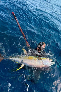 Yellowfin-tuna-on-the-water.jpg
