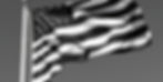 american flag and in black and white blopwing in the wind_edited.jpg