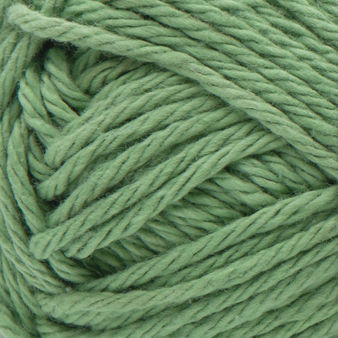 Lily Sugar'n Cream Original Meadow 01135