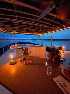 Houseboat top deck