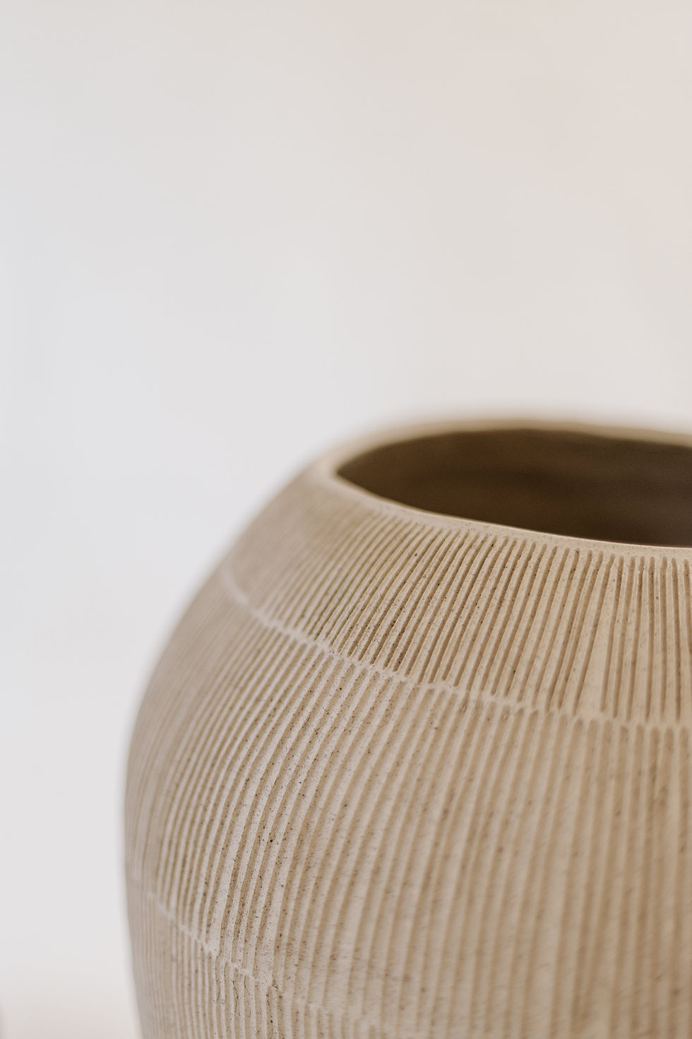 Miniatura: Vaso abrigo XG