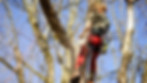 DSC08734.JPG