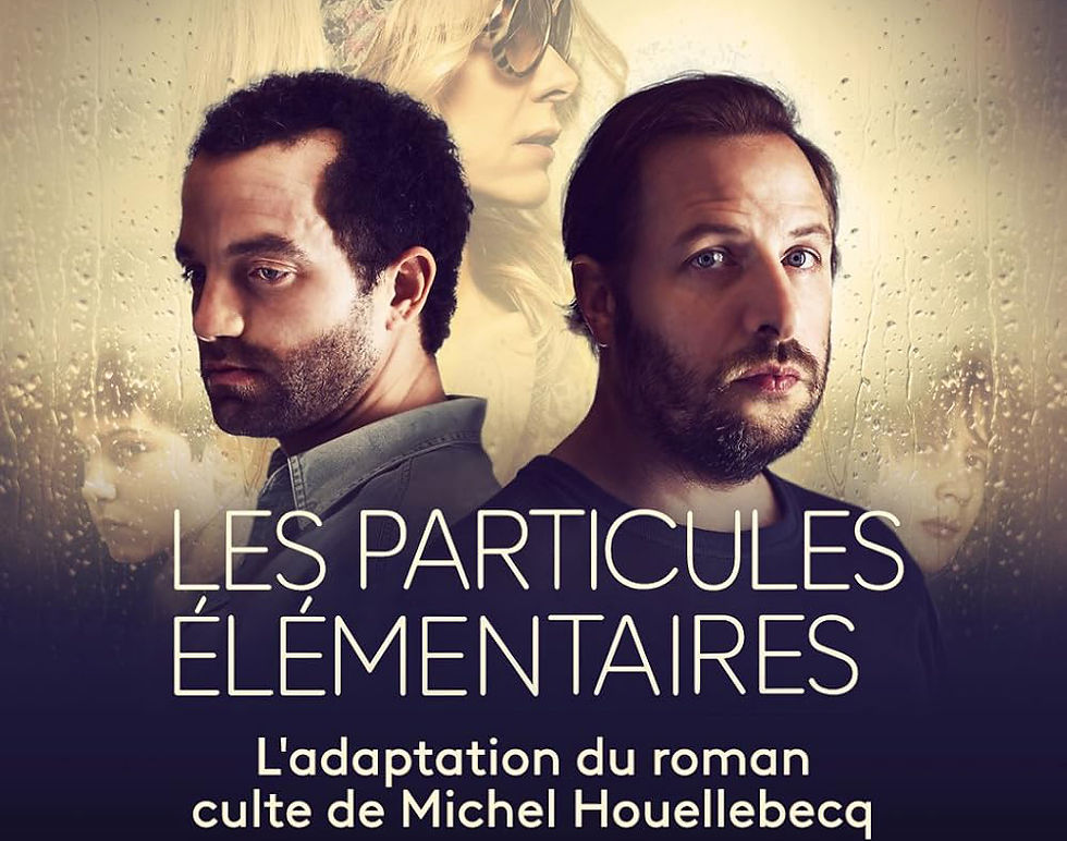 Les Particules Elementaires