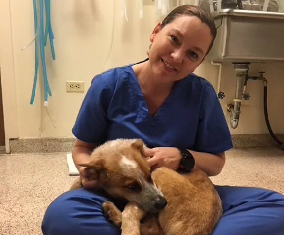 Executive Board Ncavt