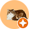 Cat Icon
